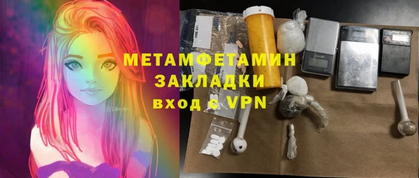 прущие грибы Абаза