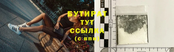 прущие грибы Абаза