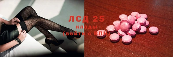 прущие грибы Абаза