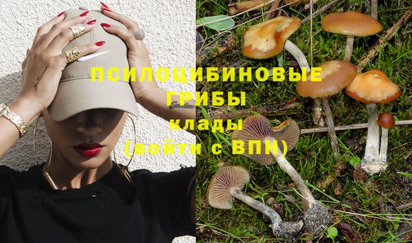 каннабис Абинск