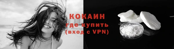 прущие грибы Абаза