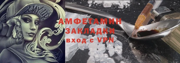 прущие грибы Абаза