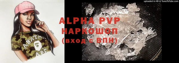 прущие грибы Абаза