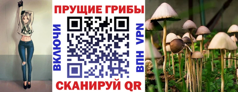 как найти Камызяк Псилоцибиновые грибы ЛСД