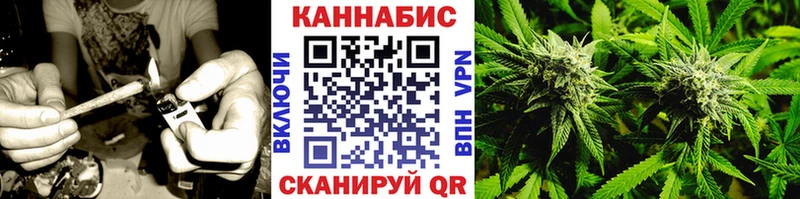 Бошки Шишки THC 21%  закладка  Камызяк 